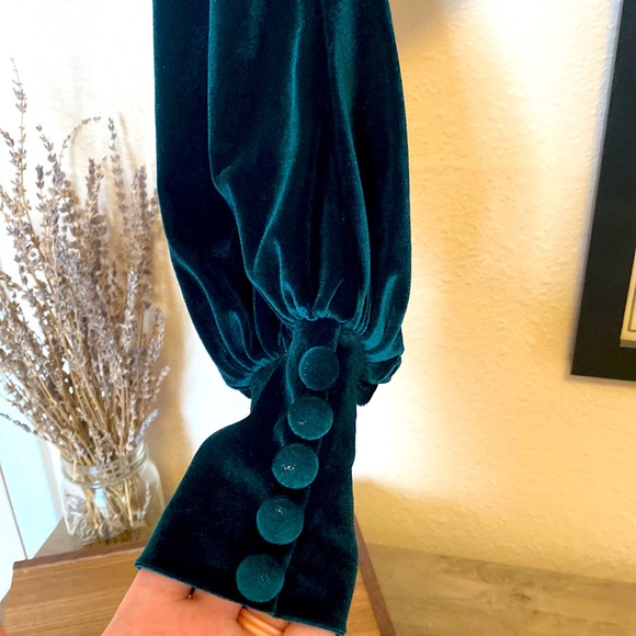 Scorpio Rising Emerald Velvet Crop - Picture 3 of 5